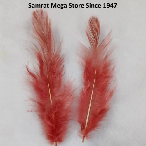 Feathers 2–5" | 72 to 80 Pcs - Maroon