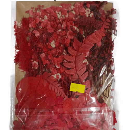 Mixed Dried Flowers for Art, DIY Crafts & Decoration – Red
